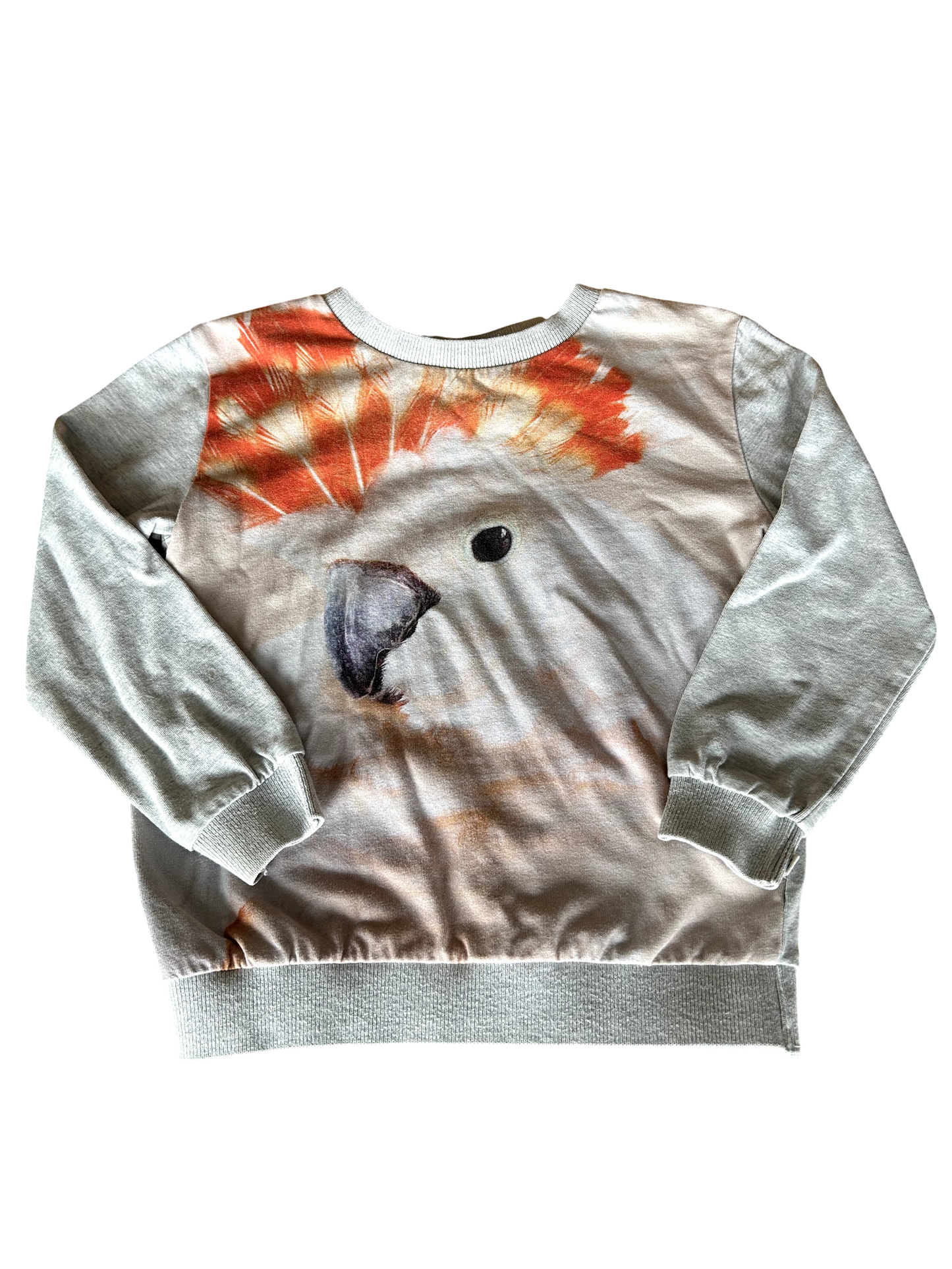 Molo Long Sleeve T-Shirt - 104