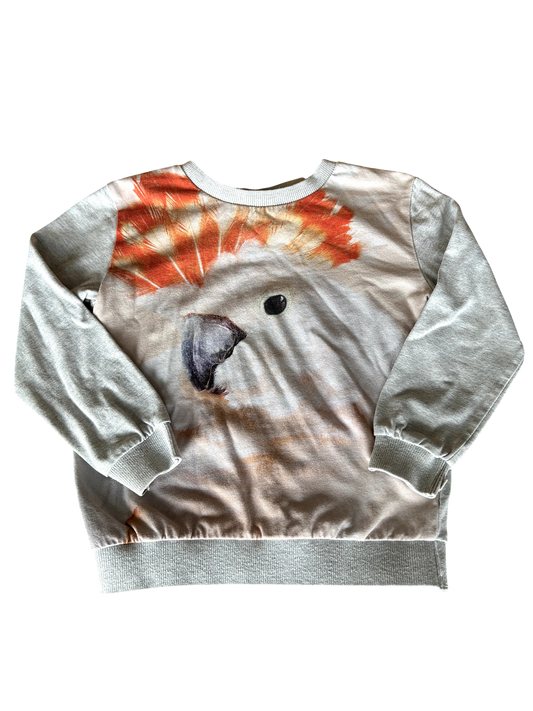 Molo Long Sleeve T-Shirt - 104